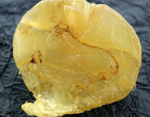 安南雙牙和斗湖魚膠哪個貴