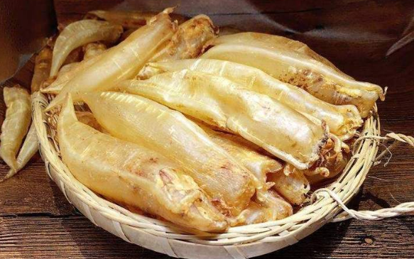 北海魚膠和金龍膠哪種好