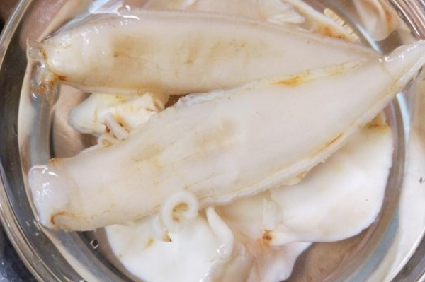 北海魚膠和金龍膠哪種好