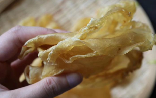 魚膠補陰還是補陽