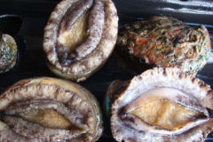 跟大家鮑魚可以提高精子活力嗎