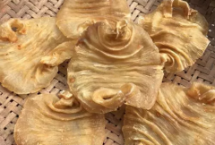 透露下野生魚膠多少錢一斤