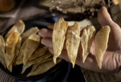 小金龍魚膠要泡多久
