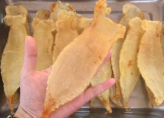 給大家普及下南澳赤嘴鳘魚膠
