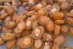 推薦大家幾個鮑魚怎么煲湯滋補