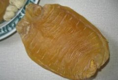 鯊魚魚膠多少錢一斤