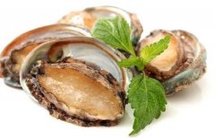 怎么挑選鮑魚干，鮑魚干為什么甜