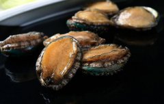 吃鮑魚有什么禁忌嗎