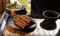 小編來告訴大家冬蟲夏草護膚的功效與作用