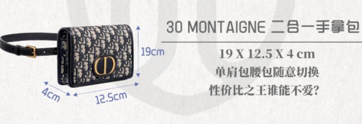 dior入門級包