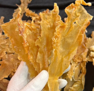 北極鱈魚魚膠價格多少一斤啊