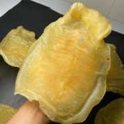 50年老漁民告訴你湛江赤嘴野生和養殖的
