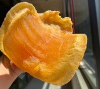 金蘭赤嘴有養殖的嗎