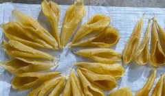 本港白花膠的功效與作用
