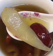 野生花膠好還是養殖花膠好呢