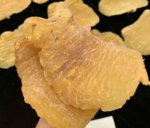 土鳘魚膠哪里產地比較好