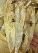 北海魚膠的最新行情如何