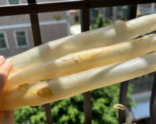 野生鰻魚膠和養殖鰻魚膠有什么區別