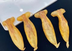 蜘蛛膠可以加什么吃對咳嗽好