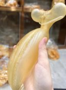 小孩吃蜘蛛膠的好處是什么呢
