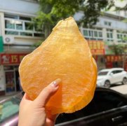 斗湖魚膠有收藏價值嗎，屬于什么等級