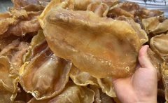 斗湖魚膠的特點與功效