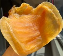 孕期可以吃花膠燉牛奶嗎