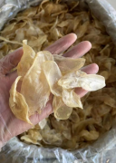 國宴大廚來告訴你們魚膠如何煲湯