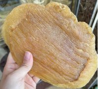 ?魚鰾的功效與作用是什么呢