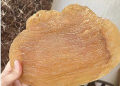 如何挑選優質魚膠