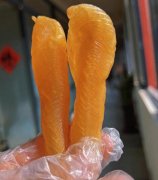 堅持吃了一年小白花膠身體會發生哪些變
