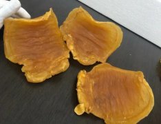 ?魚膠怎么燉補血補氣