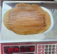 ?備孕期間能吃魚膠嗎
