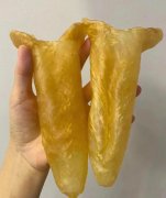 黃花膠和敏魚膠哪個好呢