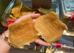 ?燕碎跟魚膠那個對皮膚好啊 