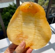 普通魚膠吃了有效果嗎